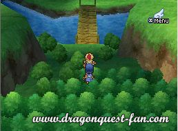 Dragon Quest IX Solution 5