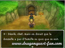 Dragon Quest IX Solution 5