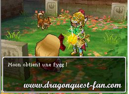 Dragon Quest IX Solution 5