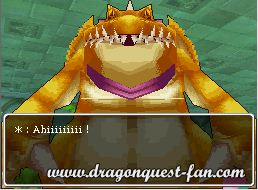 Dragon Quest IX Solution 6