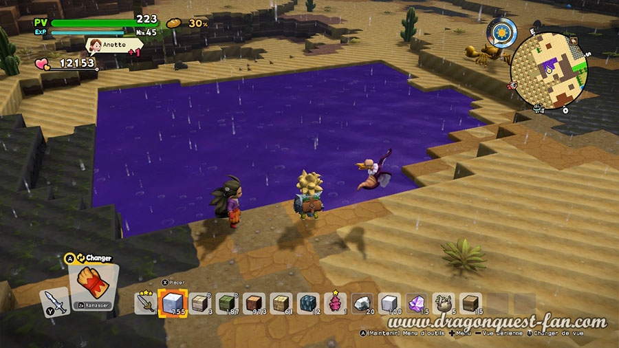 Dragon Quest Builders 2 Marais