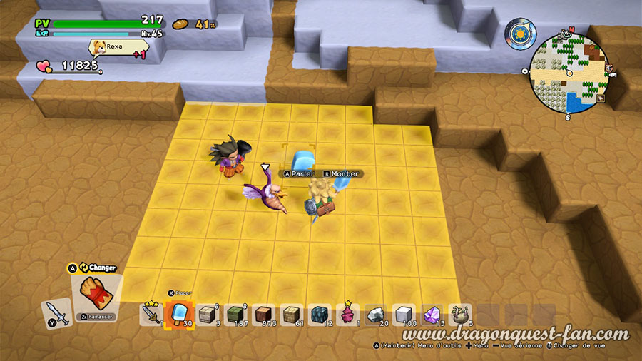 Dragon Quest Builders 2 Plaine Enneigee