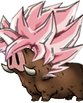 55545